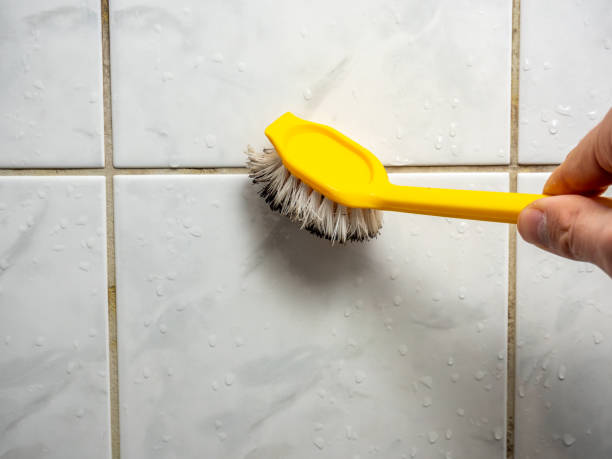 Best Post-Remediation Services in East Port Orchard, WA